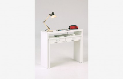 Console | WOODMAN 1000