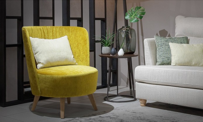 foteliai-fotelis-elegant-3