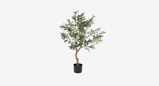 Dirbtinis augalas | OLIVE