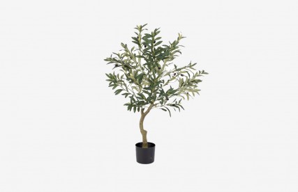 Dirbtinis augalas | OLIVE Dirbtinis augalas | OLIVE