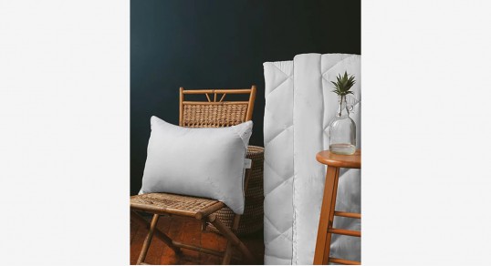 Antklodė | ALOE VERA