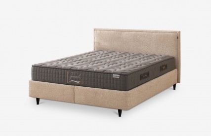 Lova | AURA TEDDY 02