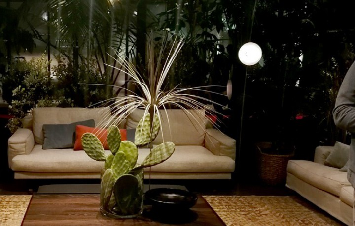 blogas-milano-tendencijos-12