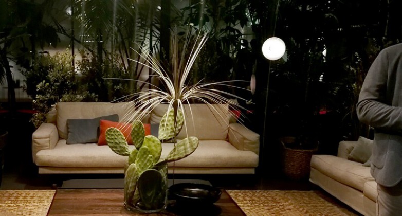 blogas-milano-tendencijos-12