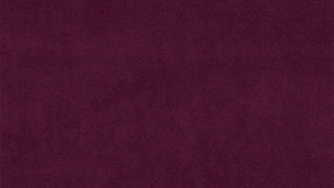 baldinis-audinys-velvet-bordo-21