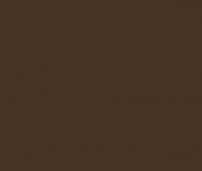 2532 | КОРИЧНЕВЫЙ ЦВЕТ