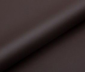 SKIN | 10