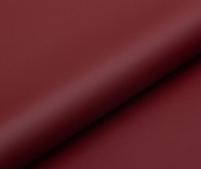 SKIN | 14