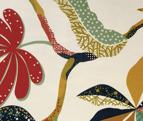 TROPIC | 01