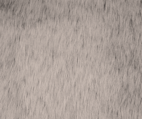 LUPUS | GREY 01