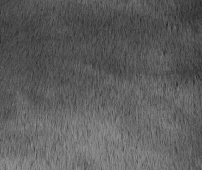 MATILDA | GREY 04