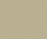 2552 | БЕЖЕВЫЙ ЦВЕТ